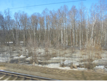 DSC04188.JPG