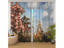 �������� <<�������� �����>>