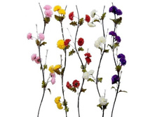 ����� "����������"