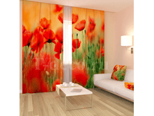 «������� ����».png