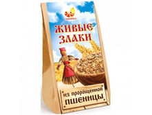 ����� ����� �� ����������� �������. 40 ���..jpg