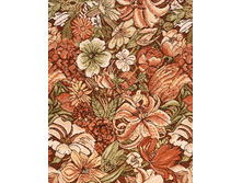 ����� ������.jpg