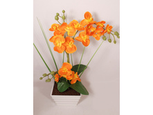 �� 30*3/33 - 763