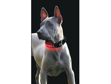 ������� ����. ZIVER-408 �����. 3 ������ �� ���������� (���. ����)