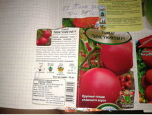 ���� ������ (���������)