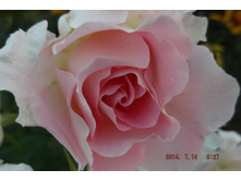 29 ���� 2014 141.jpg