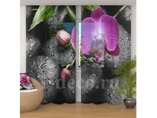 �������� <<������� �� ������>>