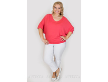 ������ V369.1.jpg