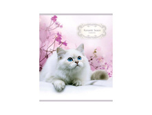 ������� 48�. �5 ������ �������. Romantic season, ��������� ��-���  14,56.jpg