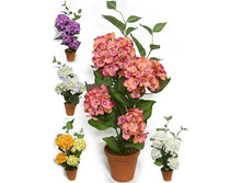 �50*2/01 - 999 - ������ 25%