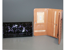 007-352-cher-D   725 �..jpg