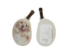 �������� ����� ����� �����