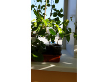 20150408_162011.jpg
