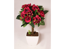 ���22/02 - 839