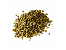 ���_������� ������.jpg