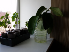 20150408_162145.jpg