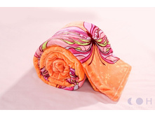 ���.���� � �����������