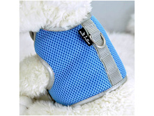 ������ AIR MESH �� �������� CRAZY PAWS, ������� - 425 ���.