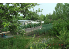 1 5����  2014 027.jpg