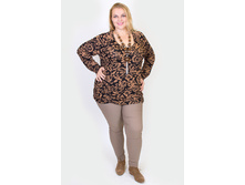 ������� H343.1