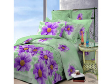 h112017 �������.jpg