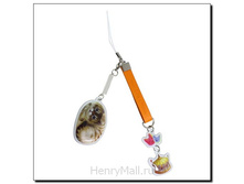 �����-�������� ��� ����������, ���� � ���������-��������� ������ -