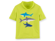$12.00     12�  18M     24M
