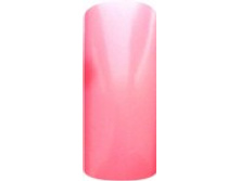 small_shop_items_catalog_image2955.jpg