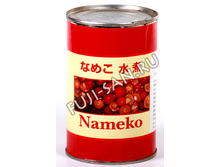 00137 ����� ������, ������������, 400� 165 ���.jpg