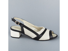 2331 36-43p 2850.jpg