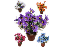 �35/56 - 249 - ������ 25%