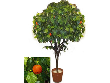 260/��/35 - 10490