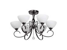 315011906  5050p.png