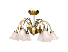 256015506  3550�.png