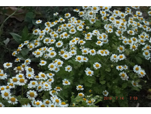 29 ���� 2014 041.jpg