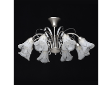 297012108  5100p.png