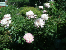 ��������� ��������*