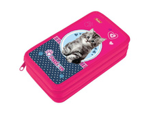 ����� 2 ��������� 190�110 Pets cat, ��������� 165,65.jpg