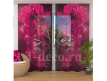 �������� <<���� ������>>