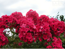 ��������� -170�.jpg