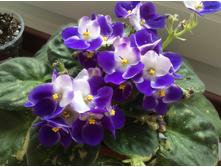 ������������