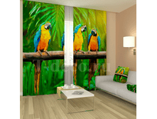 «����������� �������».png