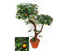 �� 100/2�/39 - 2750