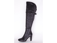 �������� 36