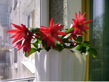 �������������