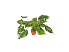 �� 35/48 - 615 - ������ 25%