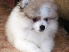 �-� ����� 011.JPG