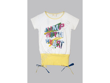 ���. 1333 DLG.jpg