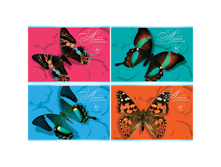 ������ ��� ��������� 40�. �4 �� ������ ������, ���������� ��� 38,65.jpg