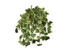 �� 25/133 - 518 - ������ 25%